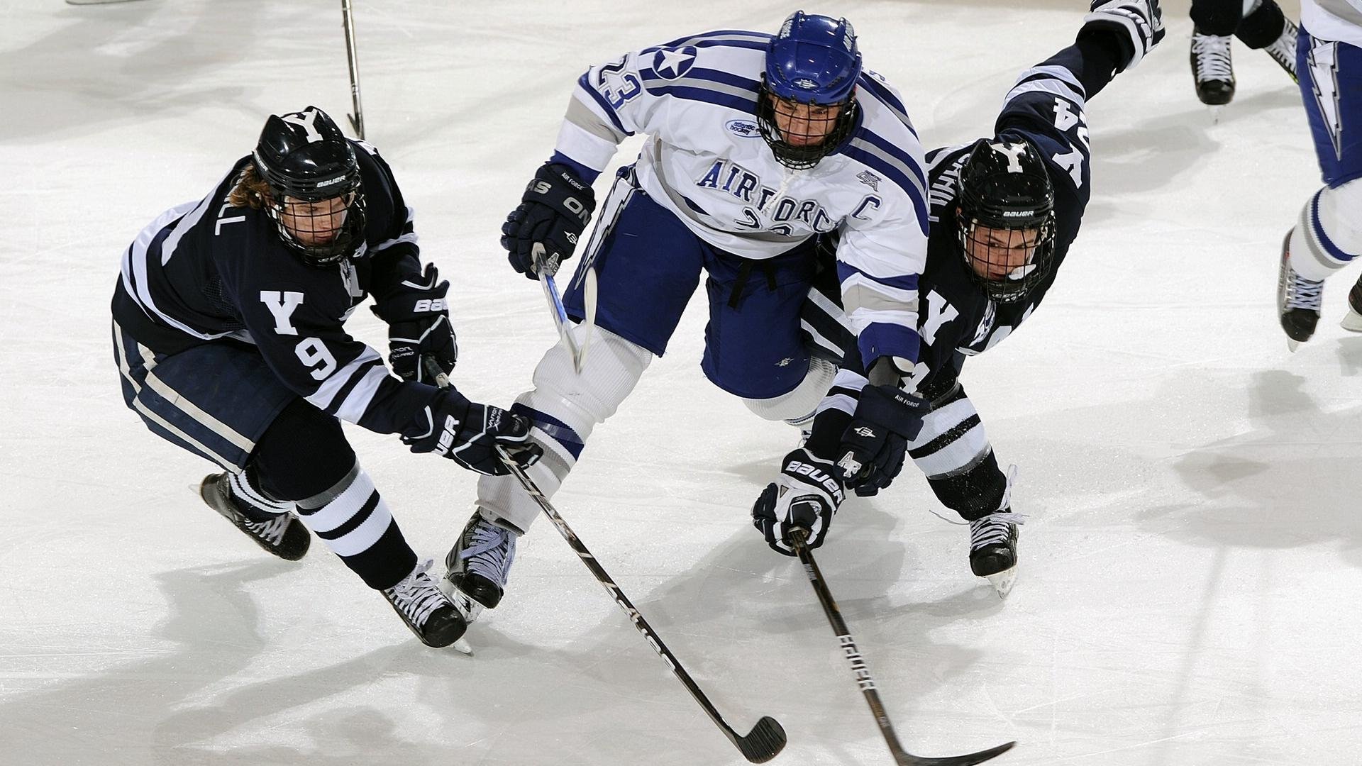 新闻中心公布新一批体育类专业重点建设学科名单，体育学科高校排名